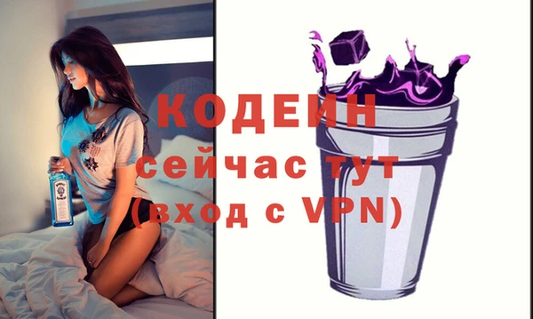 хмурый Нея