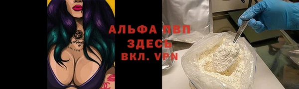 сатива Нефтекумск