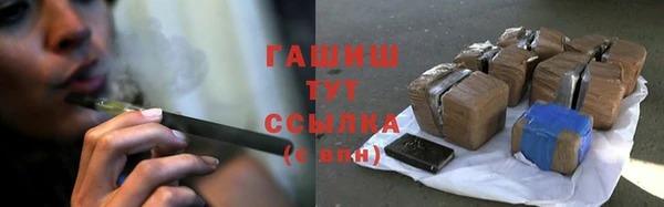 сатива Нефтекумск