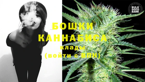 сатива Нефтекумск