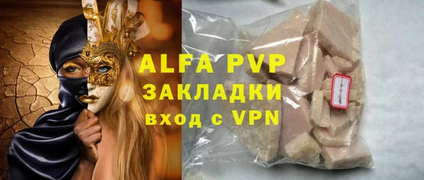 хмурый Нея
