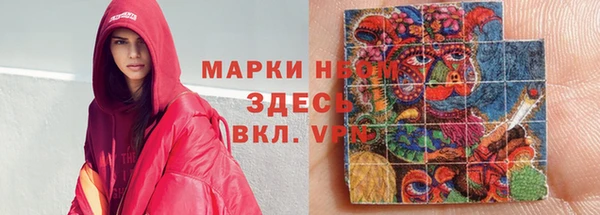 хмурый Нея