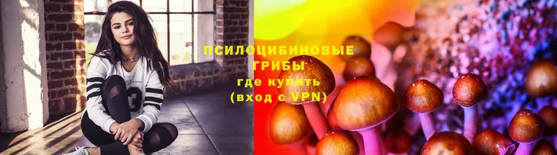 Галлюциногенные грибы GOLDEN TEACHER Отрадное