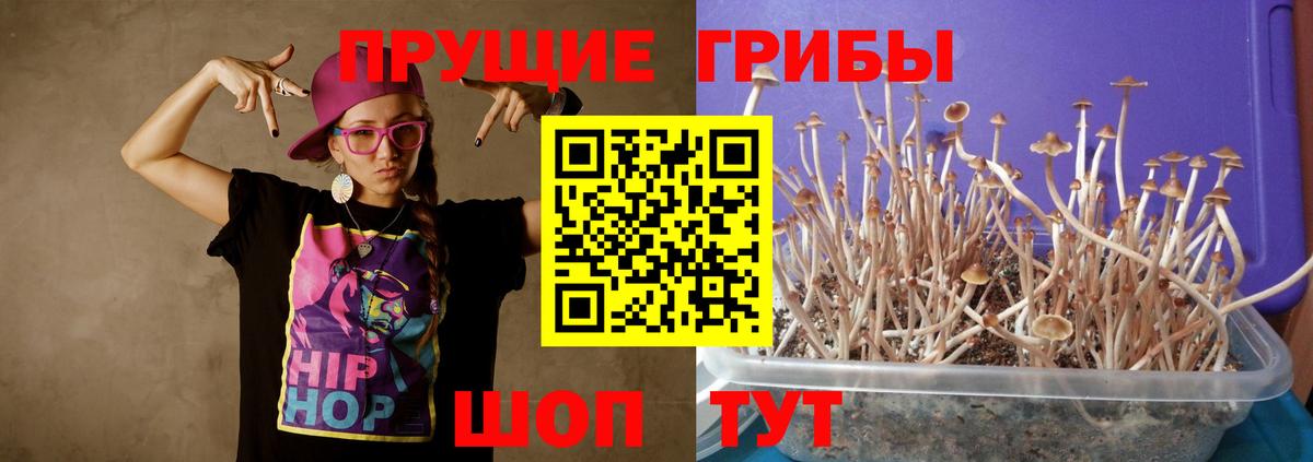 Псилоцибиновые грибы прущие грибы Отрадное