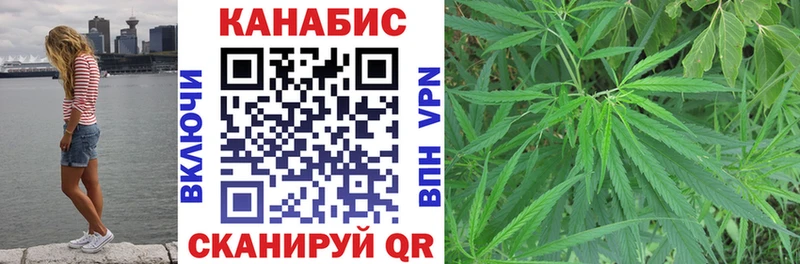 Канабис семена где продают наркотики Отрадное